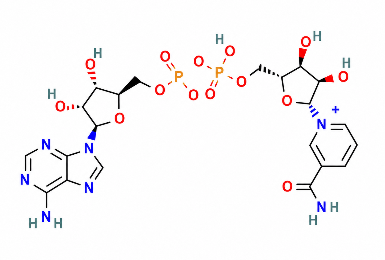 NAD+ molecular structure illustration
