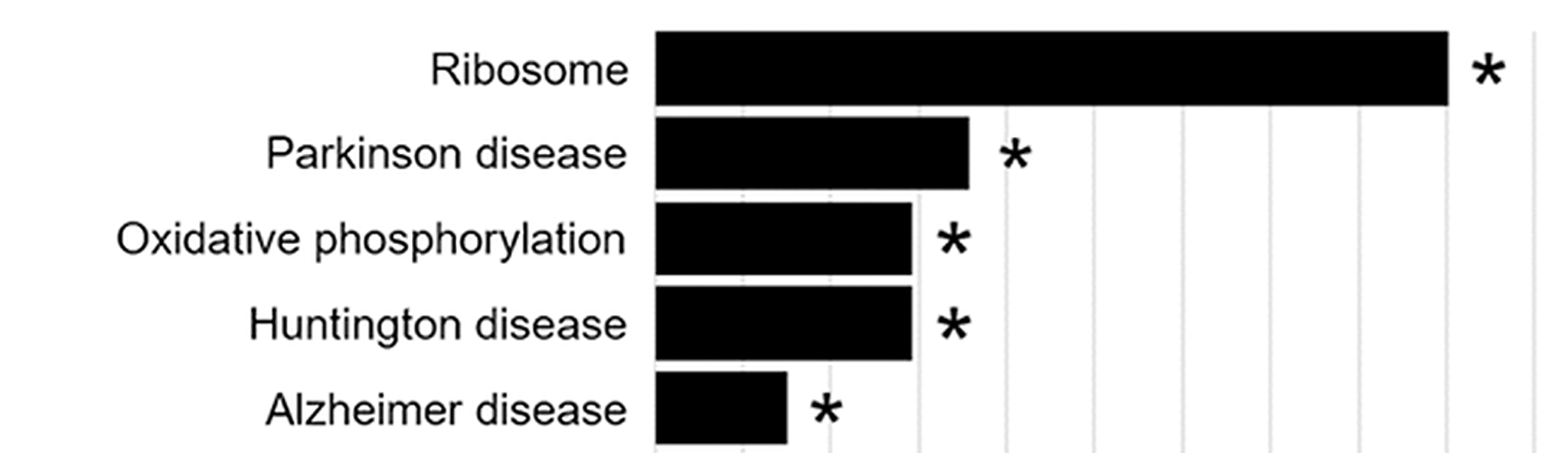 Bar graph showing KEGG pathway hits associated with palmitic acid-treated cells, including ribosome and neurodegenerative disease pathways